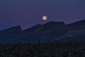 Securing Your Legacy: Estate Planning in Thousand Oaks A full moon glowing brightly in the dark blue twilight sky above a rugged mountain range and a desert landscape filled with saguaro cacti in Thousand Oaks, California.
